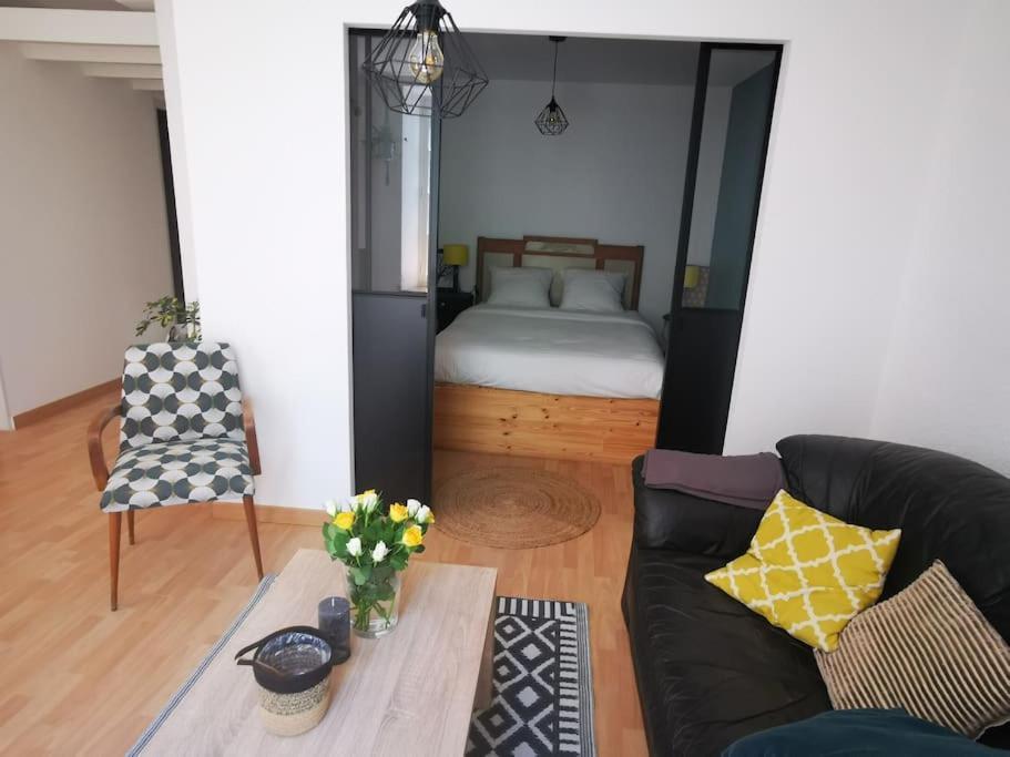 Apartamento Nid Douillet A Quelques Pas De La Gare. Carcasona Exterior foto